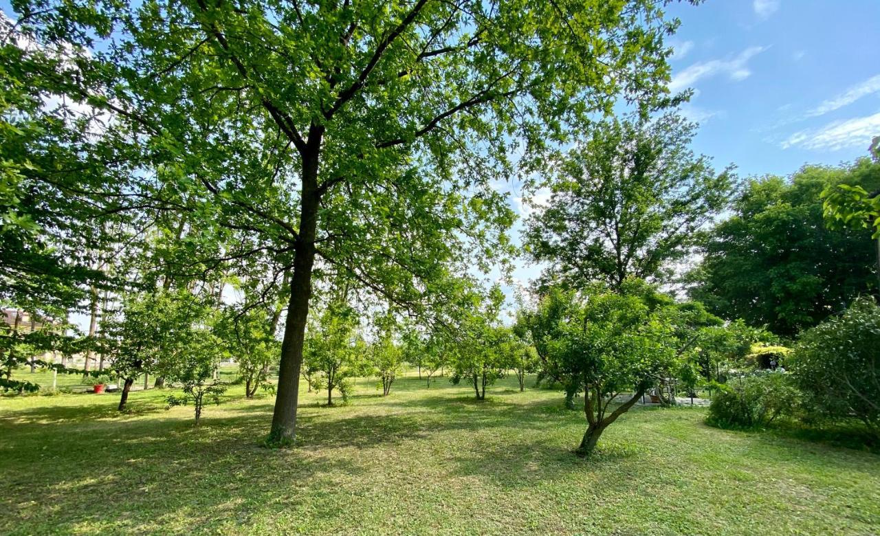 Locanda Del Molino Vecchio Magliano Alfieri Buitenkant foto