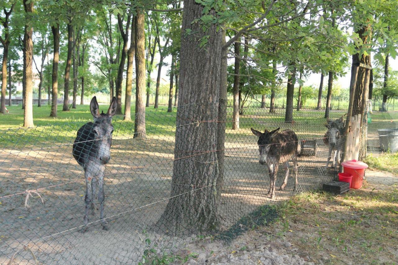 Locanda Del Molino Vecchio Magliano Alfieri Buitenkant foto