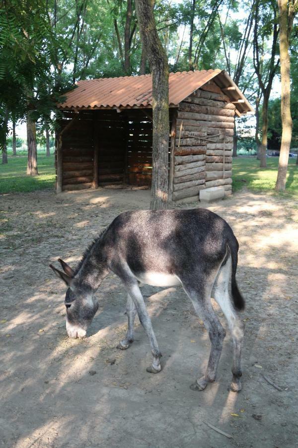 Locanda Del Molino Vecchio Magliano Alfieri Buitenkant foto